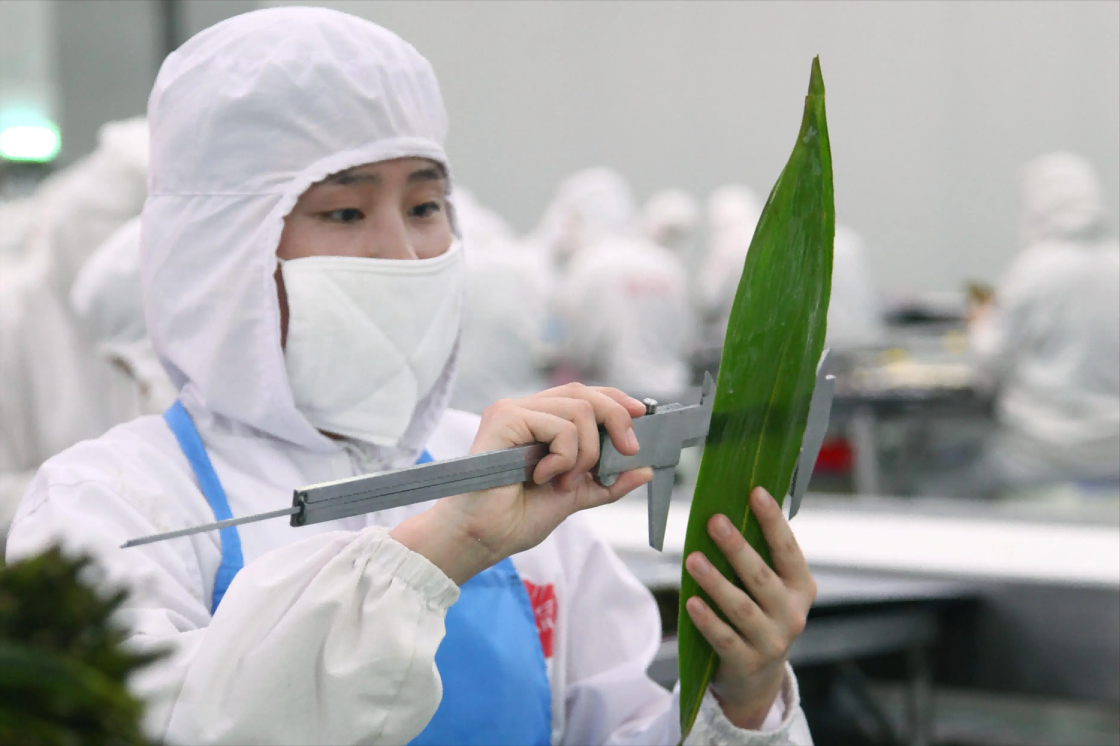 Mom Entrepreneur’s Win: $3k to $590k Profit—Here’s How You Can Copy Her